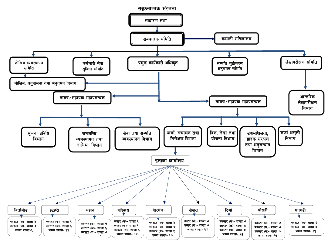 Image is of Organizational Structure